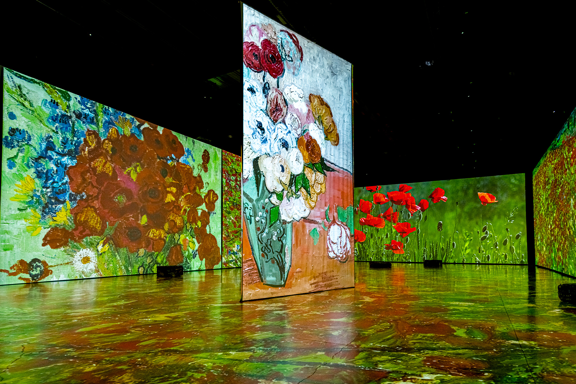 Imagine Van Gogh, an immersive exhibition