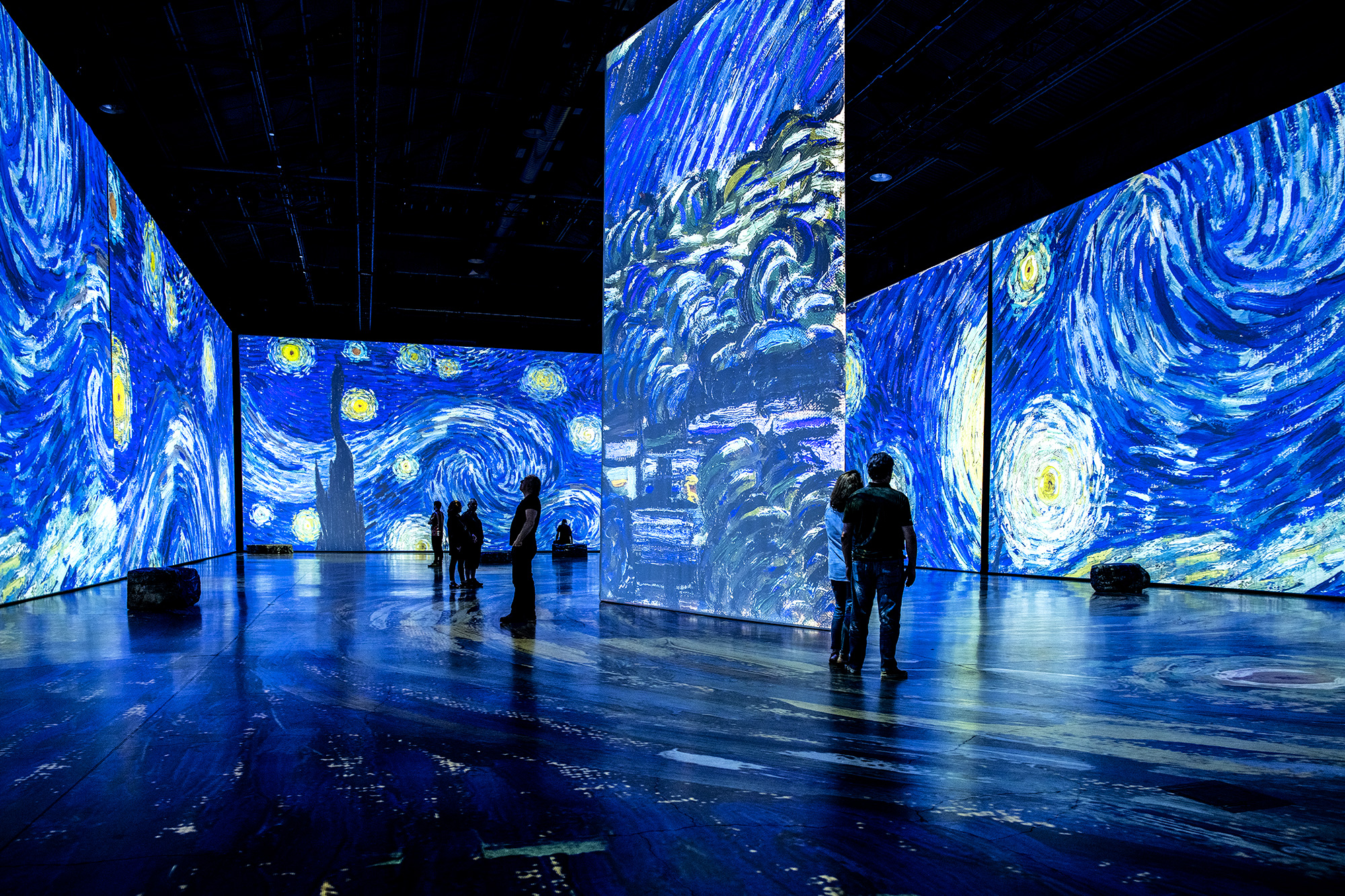 Imagine Van Gogh The Original Immersive Exhibition